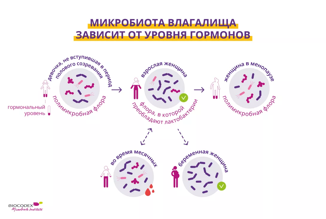 Qizlar jinsiy aloqa bilan pul tolaydilar